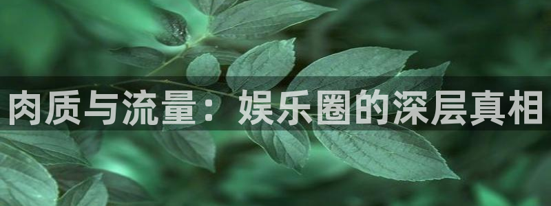 彩名堂官网计划：肉质与流量：娱乐圈的深层真相