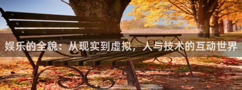 彩名堂：娱乐的全貌：从现实到虚拟，人与技术的互动世界