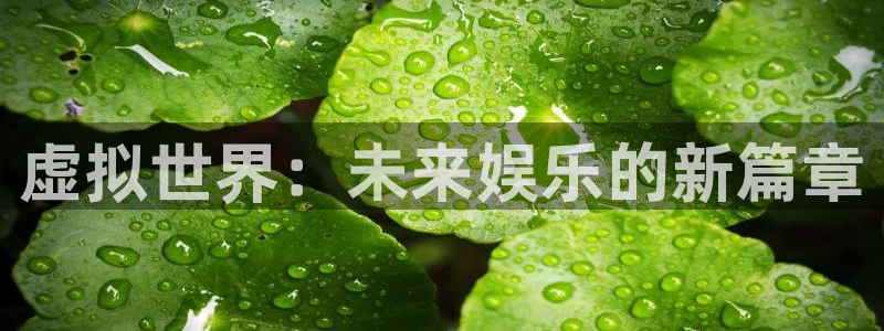 彩名堂5.0计划：虚拟世界：未来娱乐的新篇章
