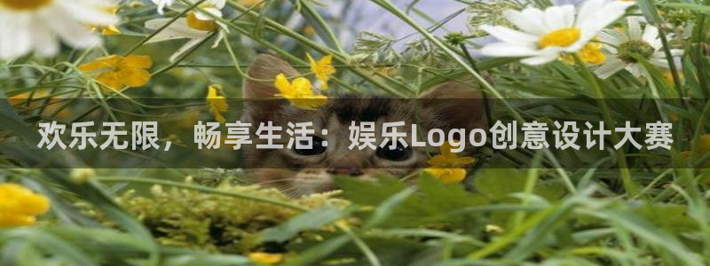 upload/20250701114914.jpg